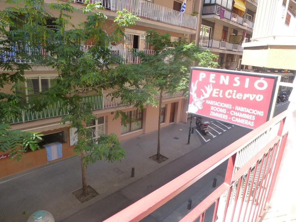 Pension El Ciervo Lloret de Mar Kültér fotó